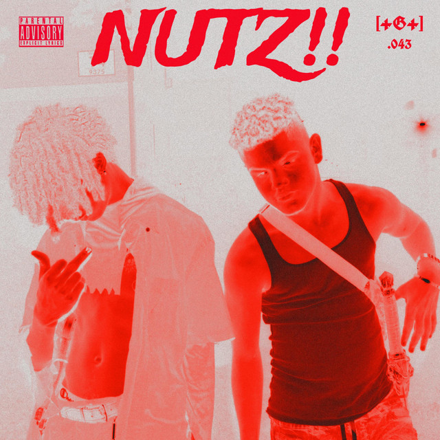 NUTZ!! cover art