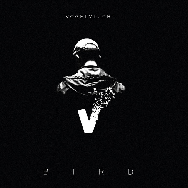 Vogelvlucht cover art