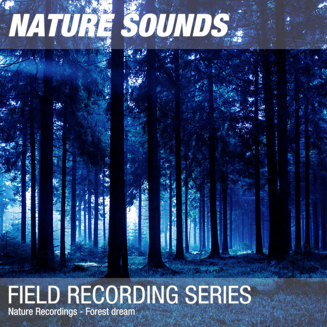 Nature Recordings - Forest dream - Album by Nature Sounds | Spotify