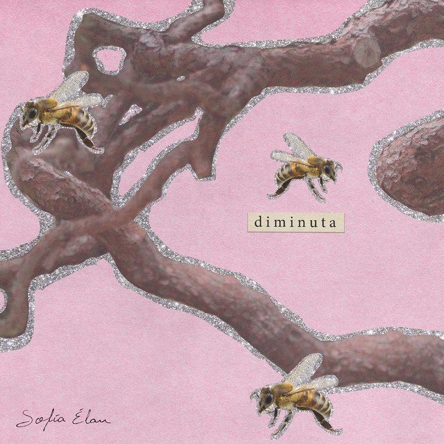 Diminuta cover art