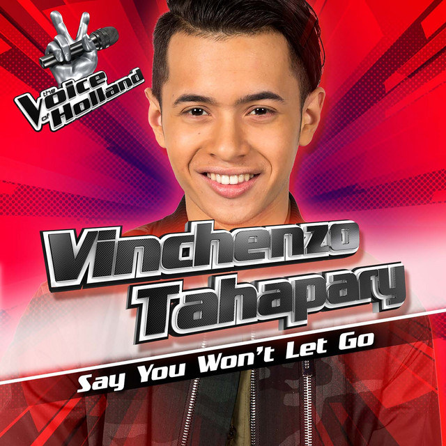 Say You Won't Let Go (From The Voice Of Holland 7) cover