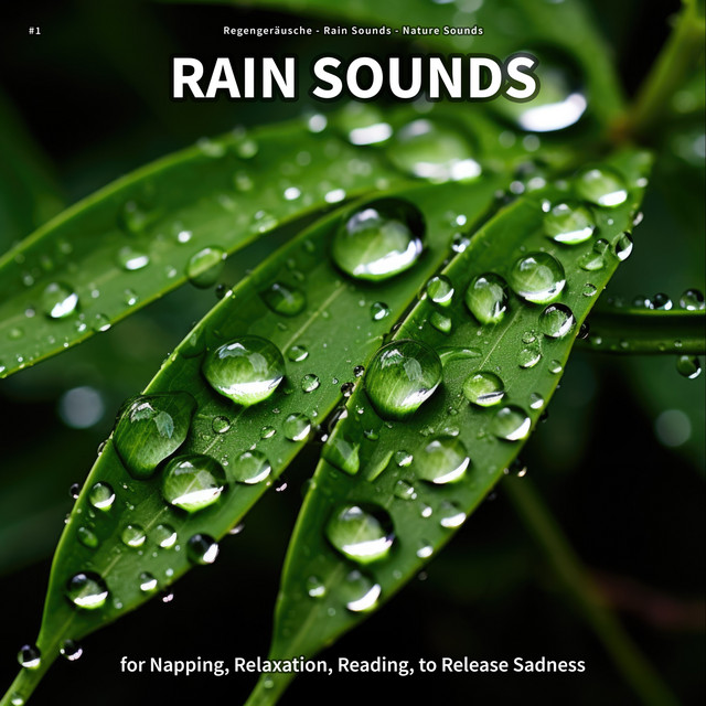 #1 Rain Sounds for Napping, Relaxation, Reading, to Release Sadness cover art