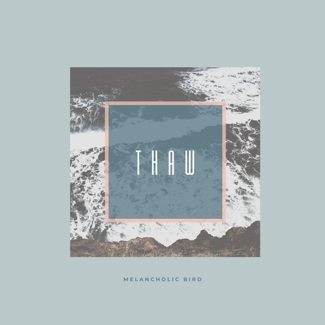 Обкладинка: Thaw — Melancholic Bird