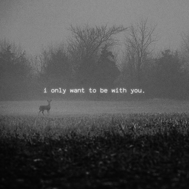 I Only Want to Be with You. cover art