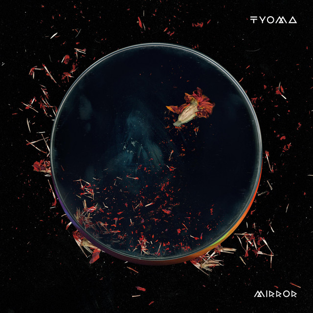 Mirror cover art