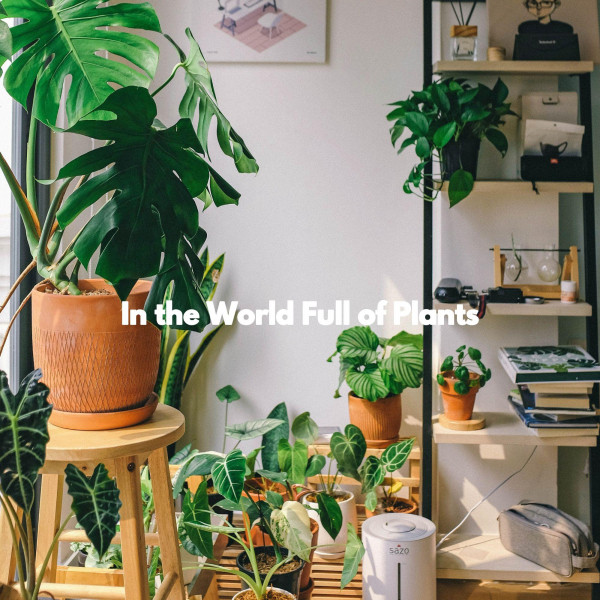 In the World Full of Plants cover art