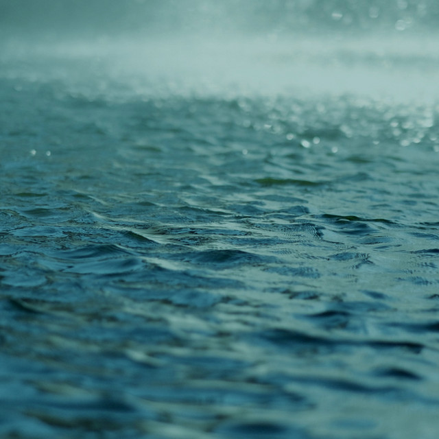 Easy Rainfall cover art