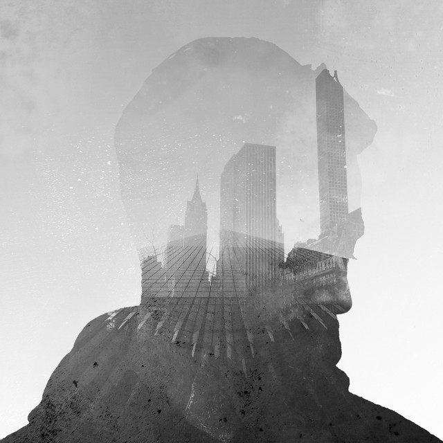 Fields Inside cover art