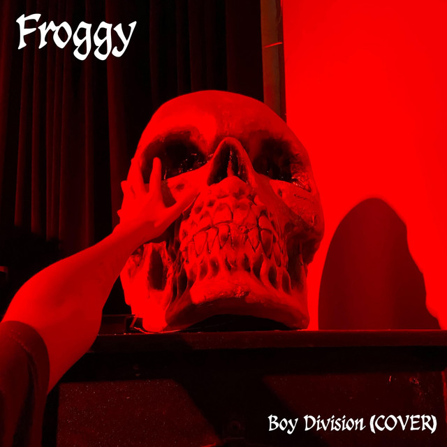 Boy Division cover