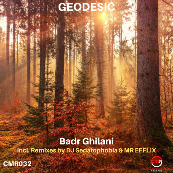 Geodesic cover art