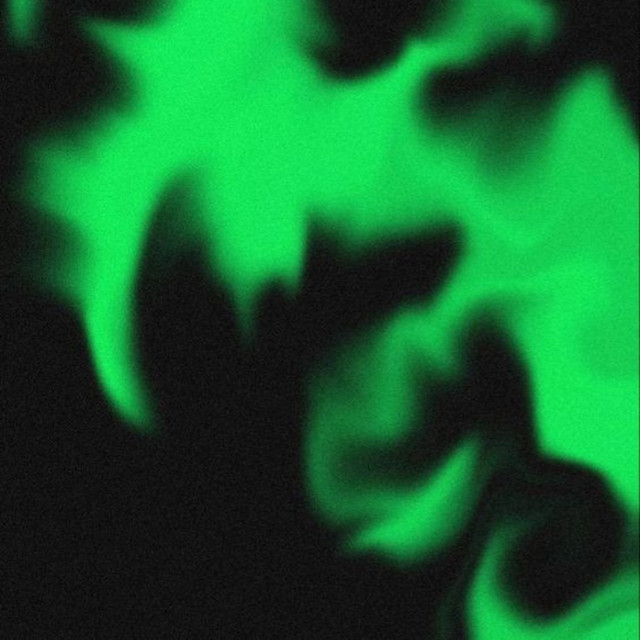 Carrete cover art