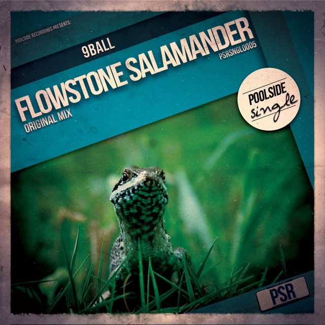 Flowstone Salamander cover