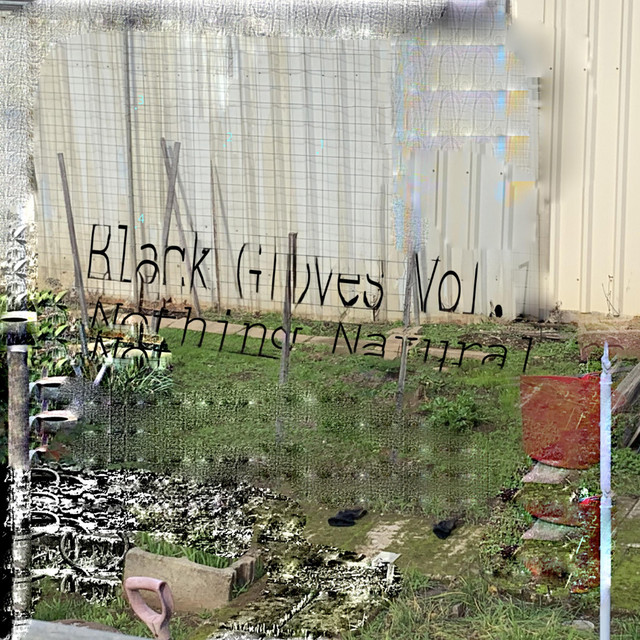 Black Gloves Vol.1: Nothing Natural cover art