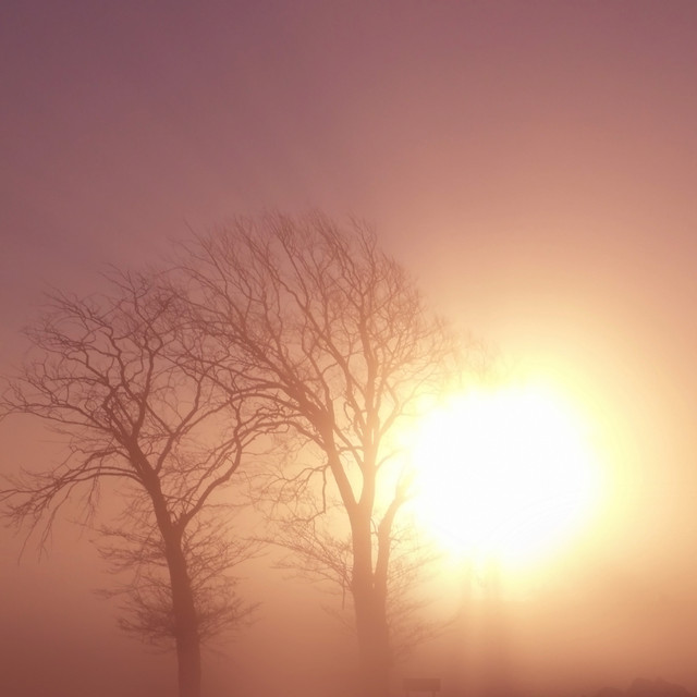 Waking Music cover art