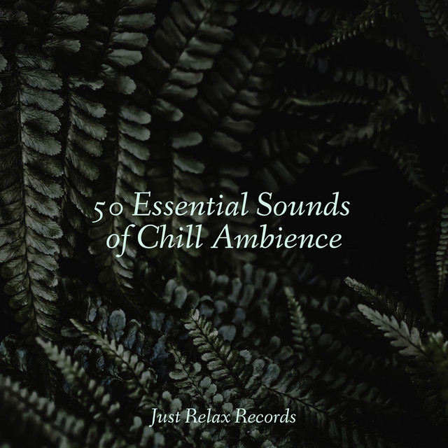50 Essential Sounds of Chill Ambience - Album by Guided Meditation ...
