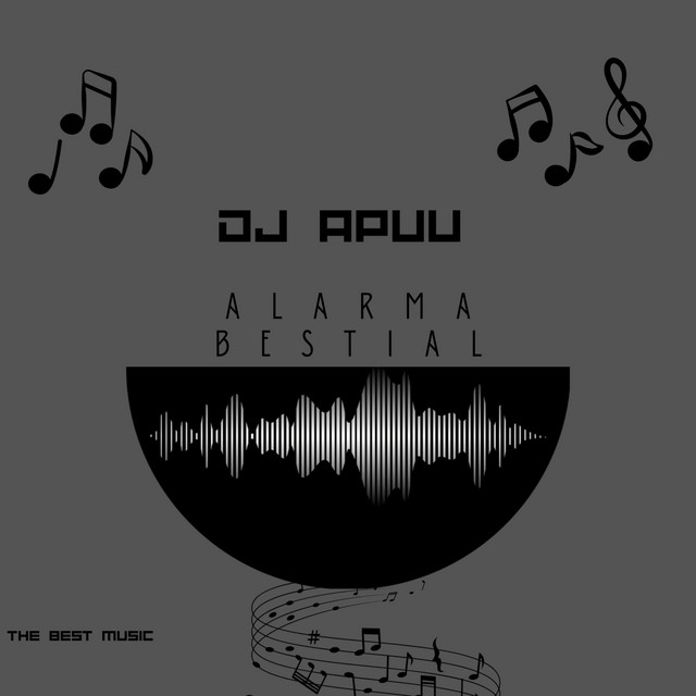 dj apuu