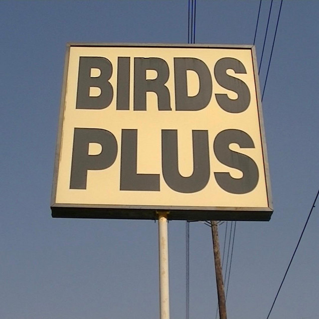 BIRDS PLUS