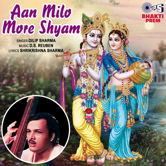 Ruk Ja Re Banwari cover art