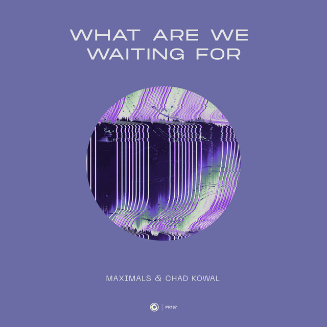 What Are We Waiting For - Extended Mix album art