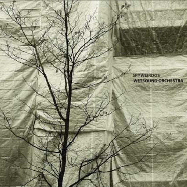 Wetsound Orchestra Remixes cover