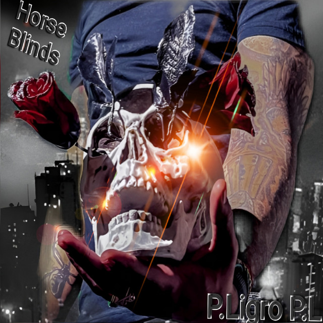 P.Ligro P.L | Spotify