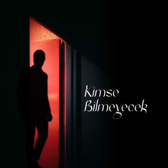 Kimse Bilmeyecek cover art