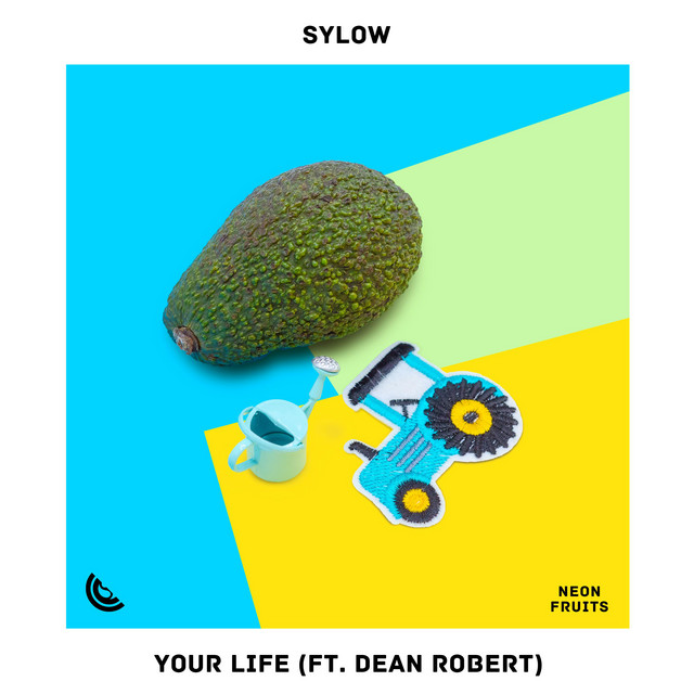 Your Life