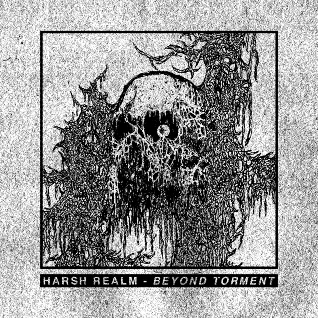 Beyond Torment cover