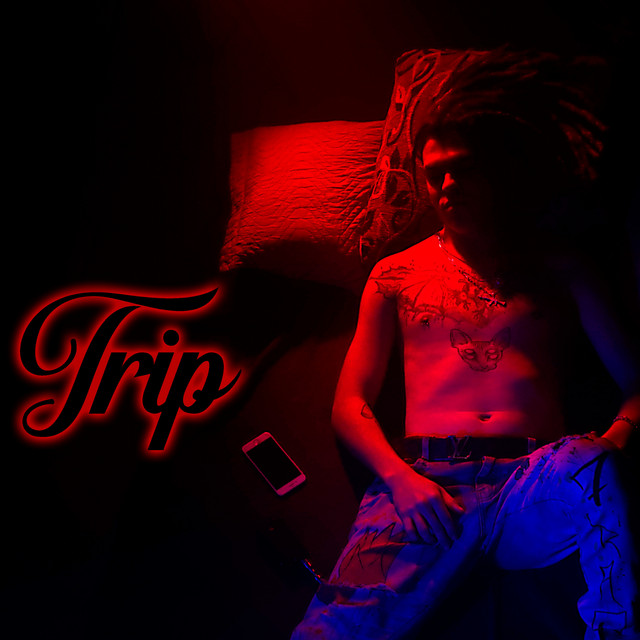 Trip