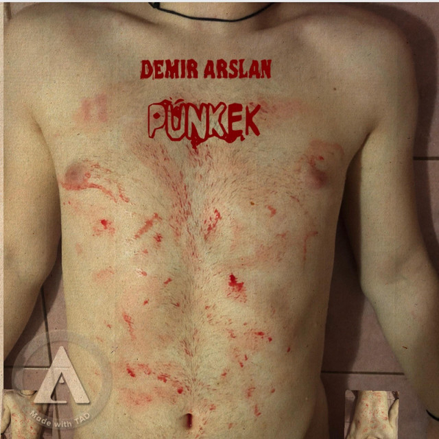 Punkek cover art