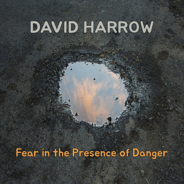 Fear in the Presence of Danger cover art