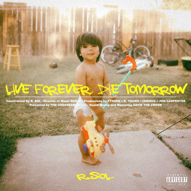Dawg Flow cover art