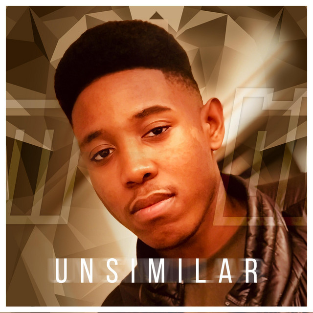 Unsimilar cover