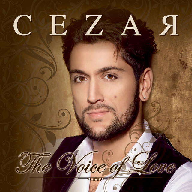 The Voice of Love cover art
