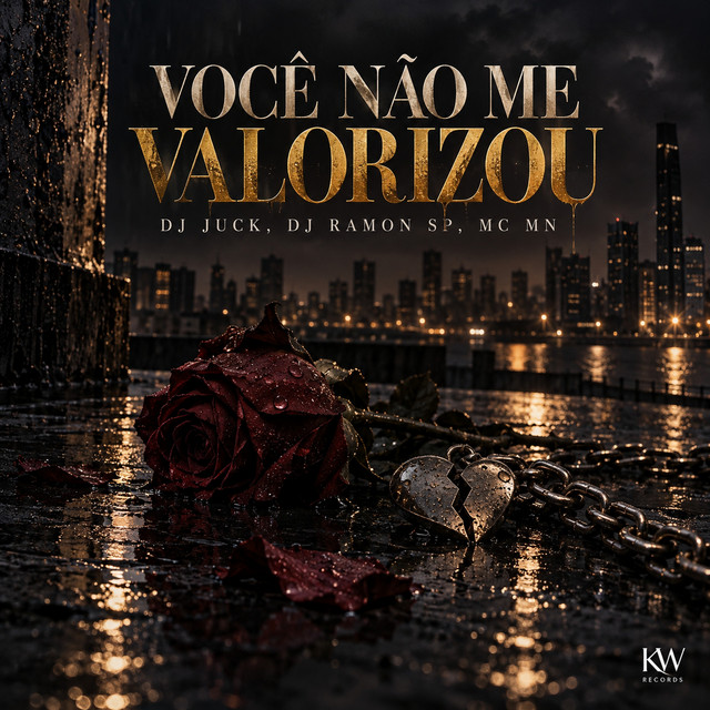 Você Não Me Valorizou
