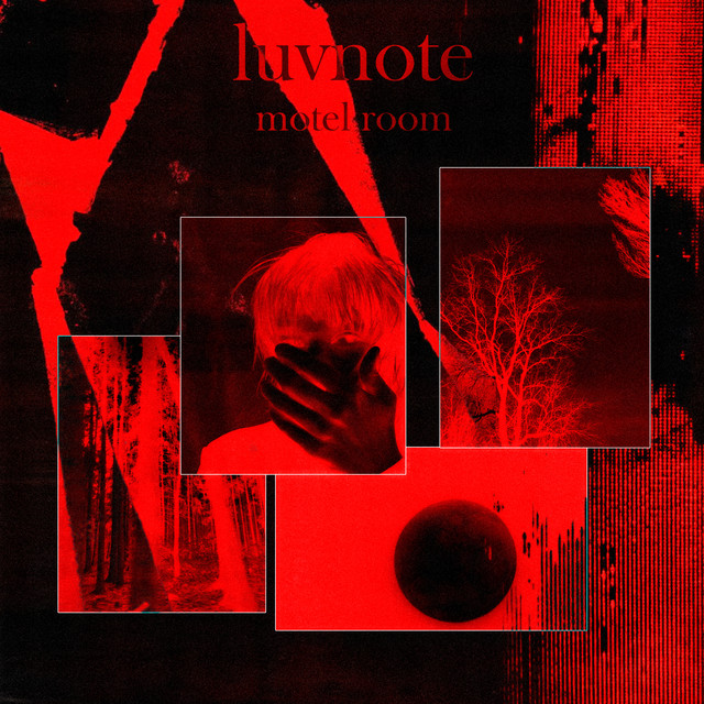 motel room cover art