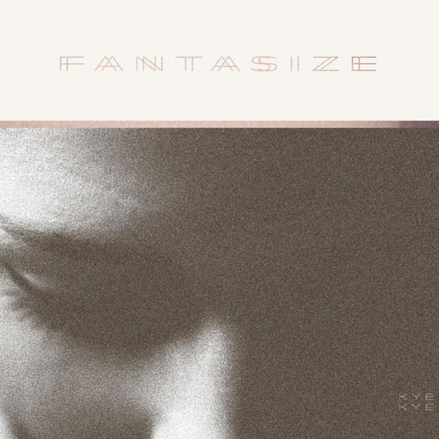 Fantasize cover art