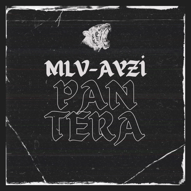 Pantera cover art