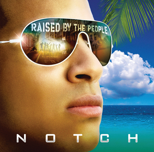 Raised By The People cover art