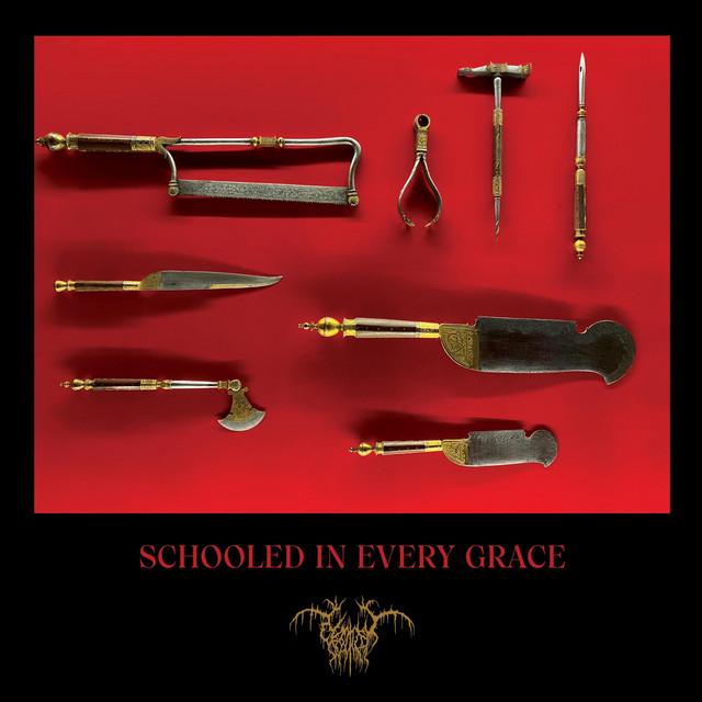 Schooled In Every Grace album image