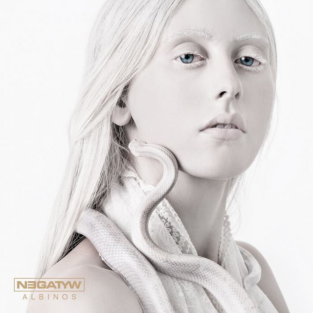 Negatyw Photo