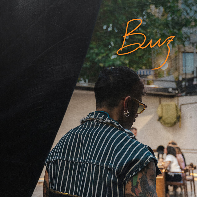 Buz album image