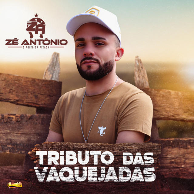 Tributo das Vaquejadas cover art