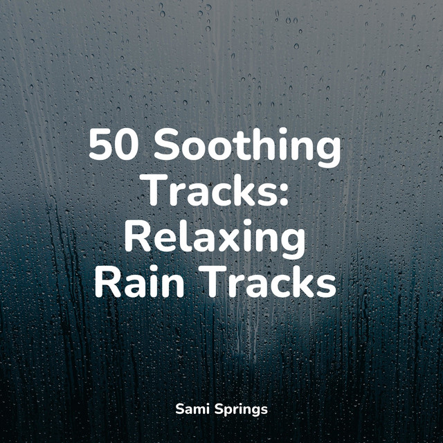 50 Sounds of Rain for Yoga and Meditation - Album by A Sudden Rainstorm ...