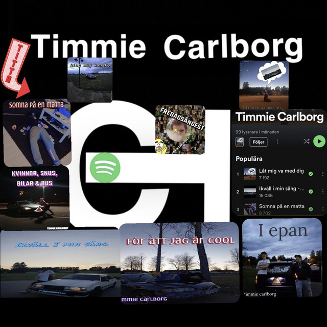 Kvinnor snus bilar & bus