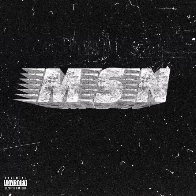 MSN cover art