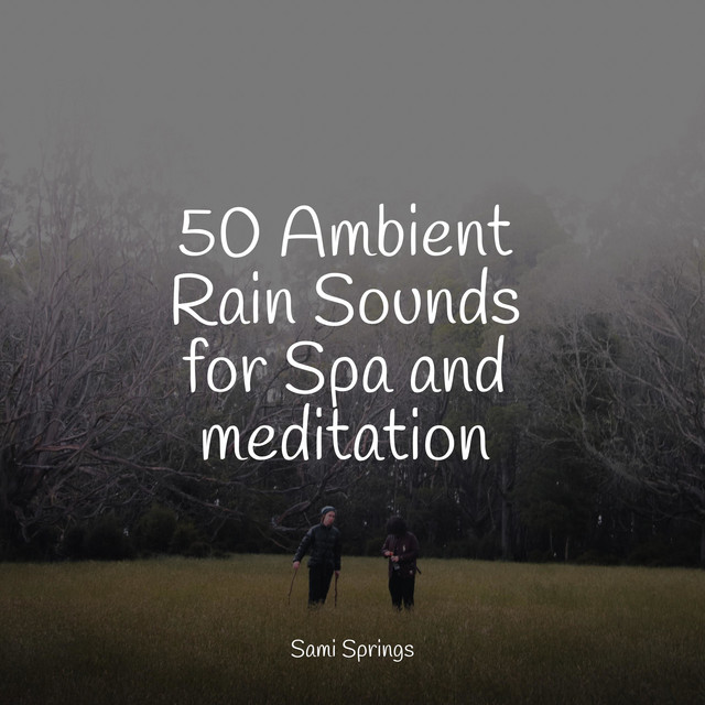 50 Ambient Rain Sounds for Spa and meditation - Album by Life Sounds ...