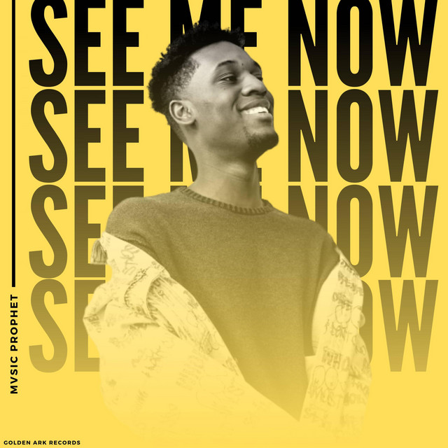 See Me Now - Single de Mvsic Prophet | Spotify