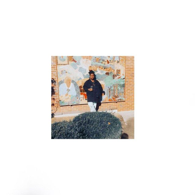 Shade and the little Creature cover art