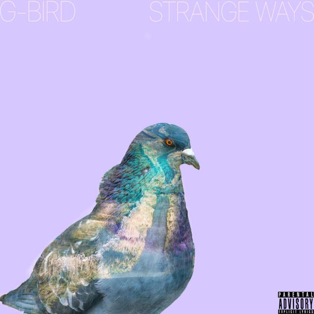 G-BIRD cover art
